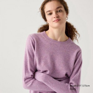 Uniqlo Cashmere Crew Neck Women Jumper Purple US | DHEC-38920