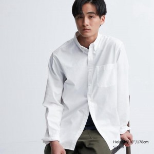 Uniqlo Cotton Broadcloth (Button-Down Collar) Men Shirts White US | QDBZ-60358