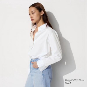 Uniqlo Cotton Women Shirts White US | BFHL-34279