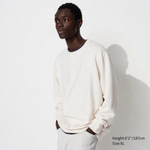 Uniqlo Men Sweatshirt Off White US | YTCA-84520