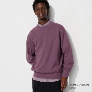 Uniqlo Men Sweatshirt Purple US | THQG-80942