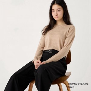 Uniqlo Merino Crew Neck Women Jumper Beige US | FXWD-70856